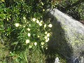 013_Pizzo Orsalia_Aug-2024